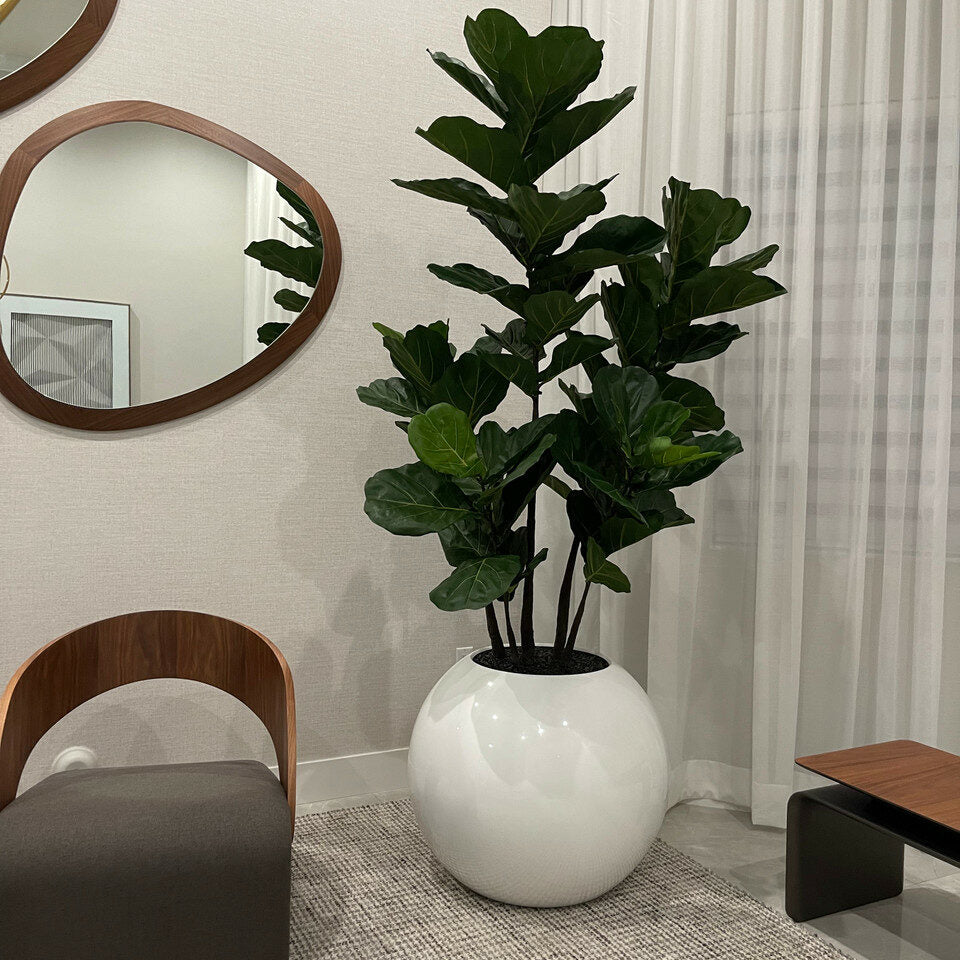 30 Zoll weiße Globusvase mit Geige