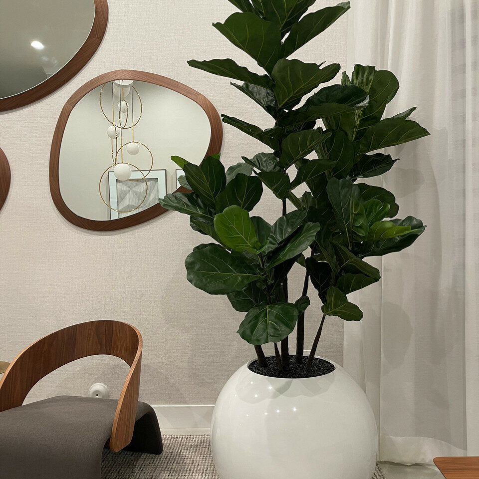 30 Zoll weiße Globusvase mit Geige