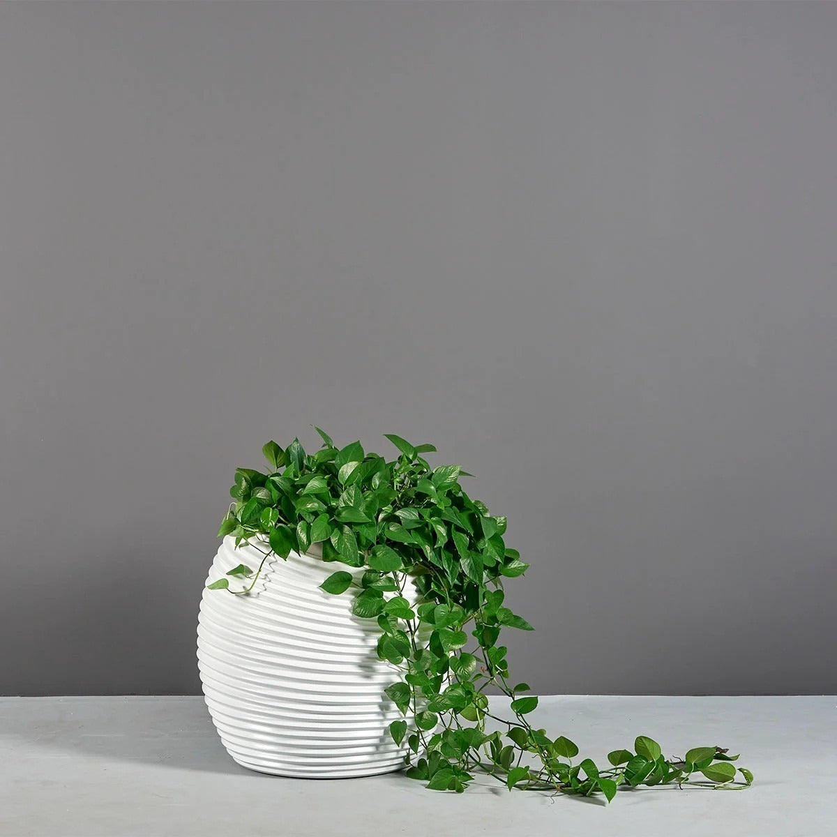 Moderne Spiralkugelvase