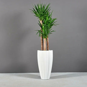 San José geriffelte Vase