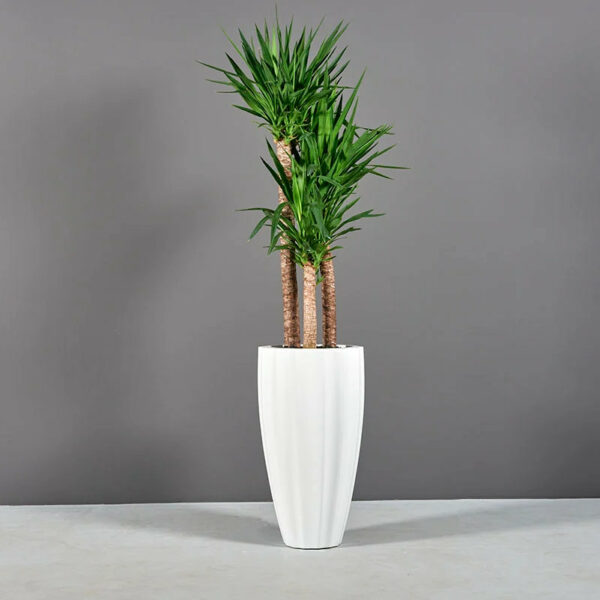 San José geriffelte Vase