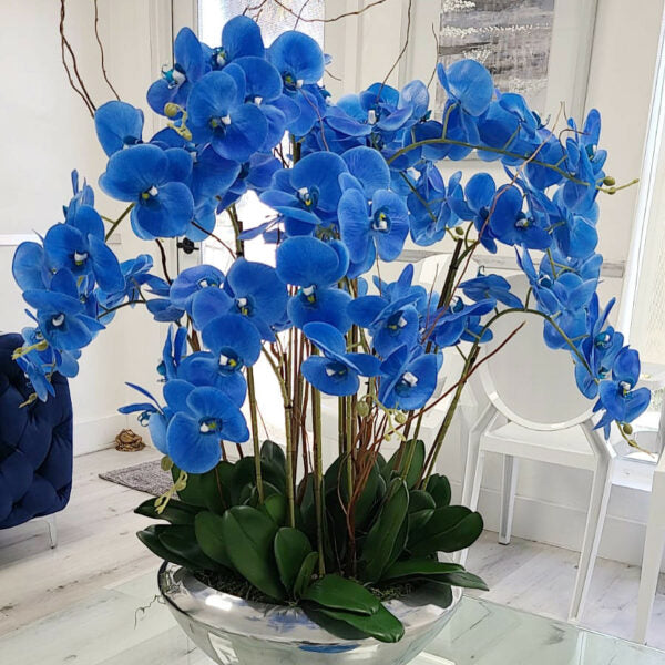 Avenue Bowl mit blauen Phalaenopsis-Orchideen