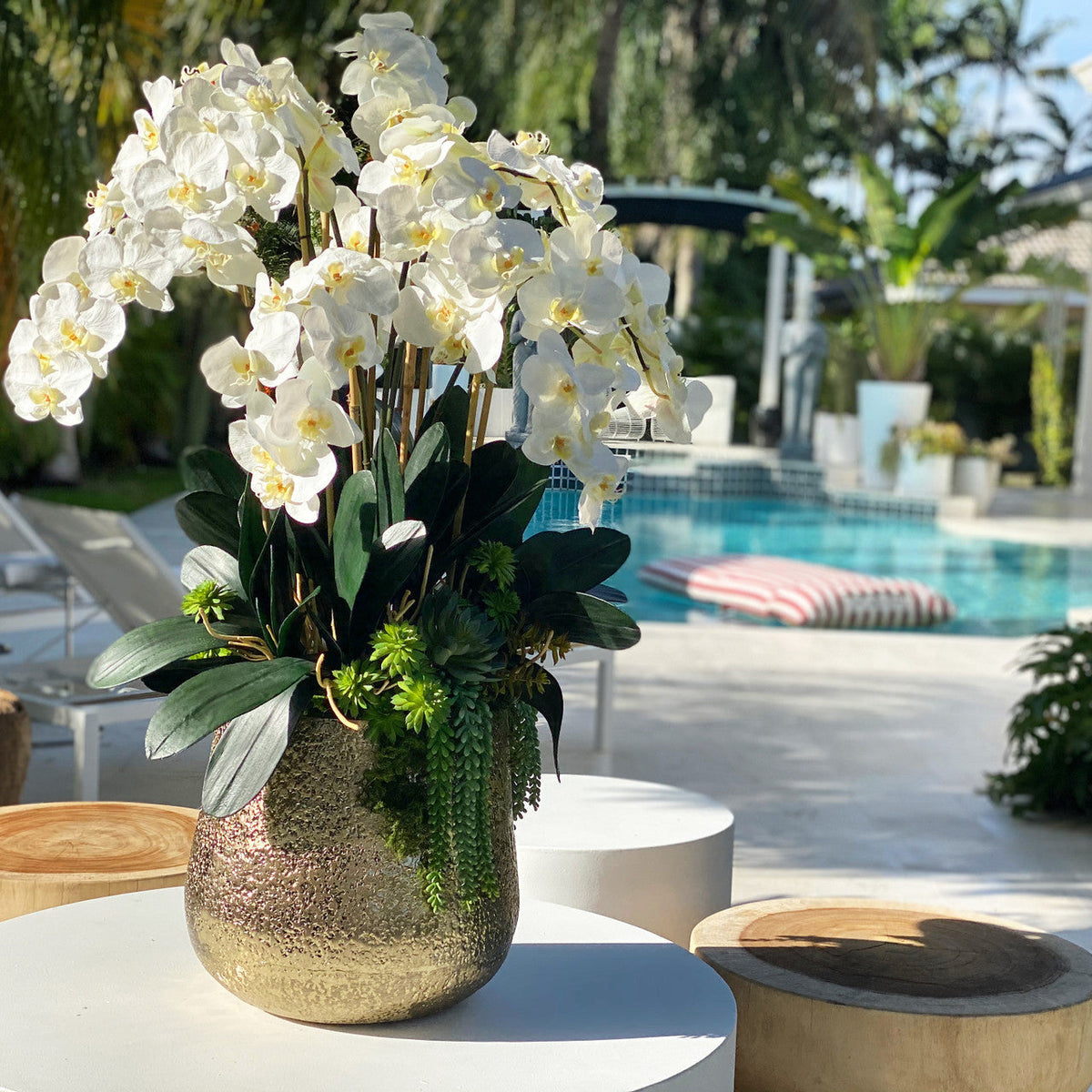 Delaney-Goldvase mit mehreren Stielen von Phalaenopsis-Orchideen und Sukkulenten