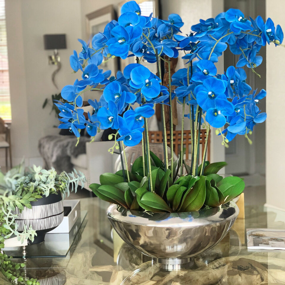 Avenue Bowl mit blauen Phalaenopsis-Orchideen