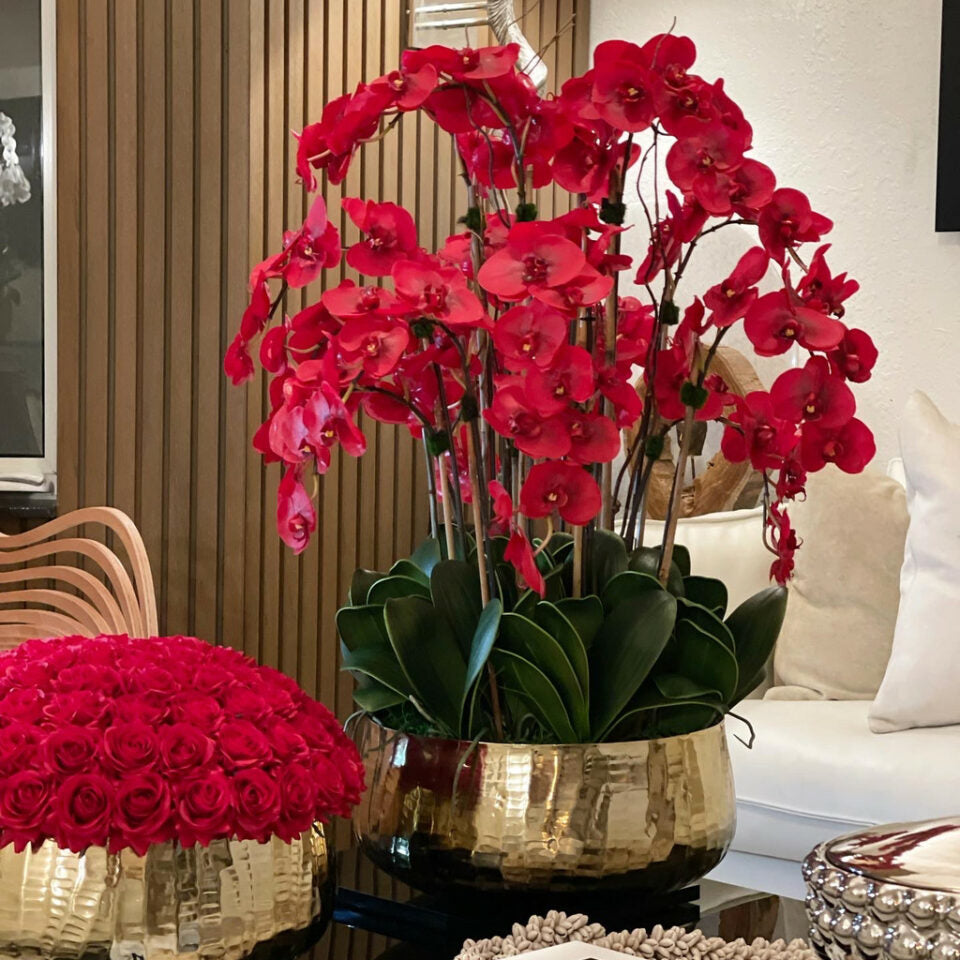 Rote Phalaenopsis-Orchideen in einem mittelgroßen goldenen Topf