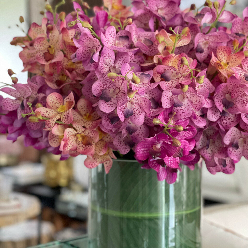 Mokara Orchideen gemischt in einem großen Rota-Zylinder