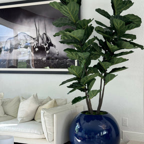 Blaue Tassenvase mit Geigenblatt-Feigenbaum
