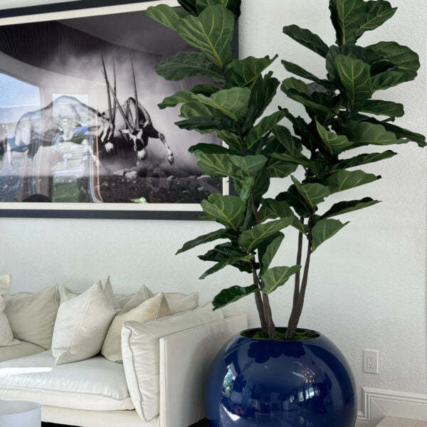 Blaue Tassenvase mit Geigenblatt-Feigenbaum