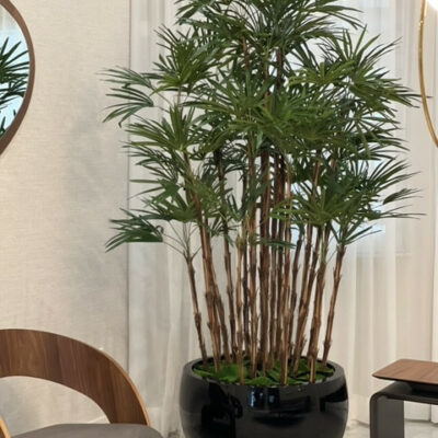 Schwarze Terragona-Vase mit Palme