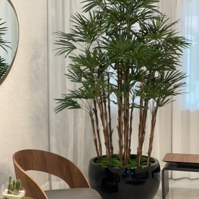 Schwarze Terragona-Vase mit Palme