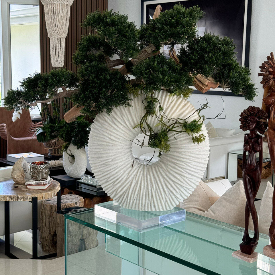 Große Ewigkeitsvase mit hängendem Bonsai und Treibholz