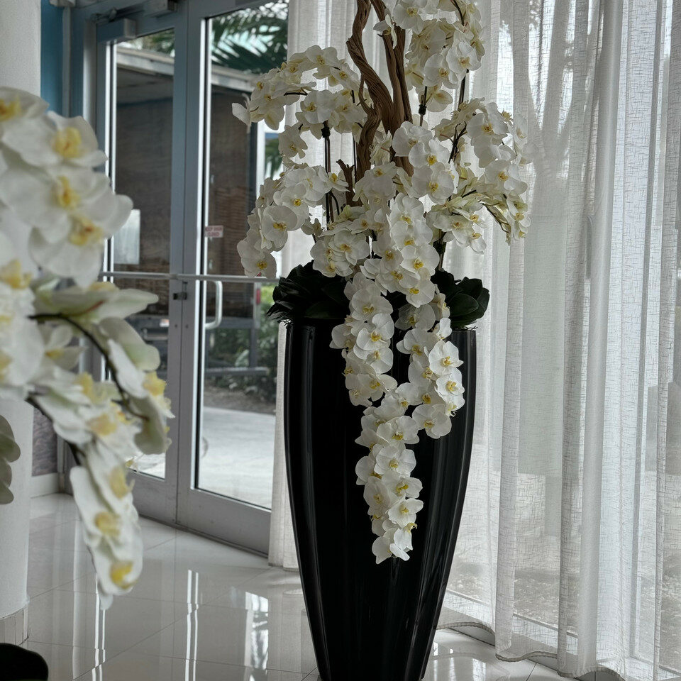 Glänzend schwarze San José Vase mit weißer Orchideenkaskade