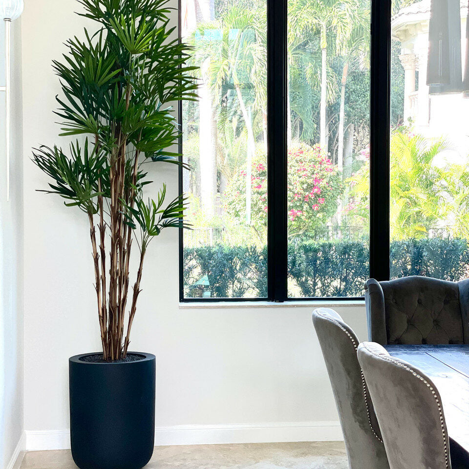 Palme im schwarzen XL-Topf