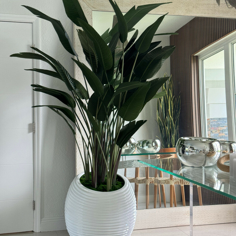 Paradiesvogel in einer weißen Spiralvase
