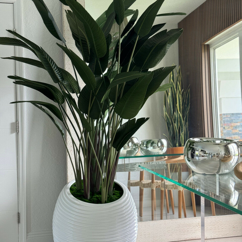 Paradiesvogel in einer weißen Spiralvase