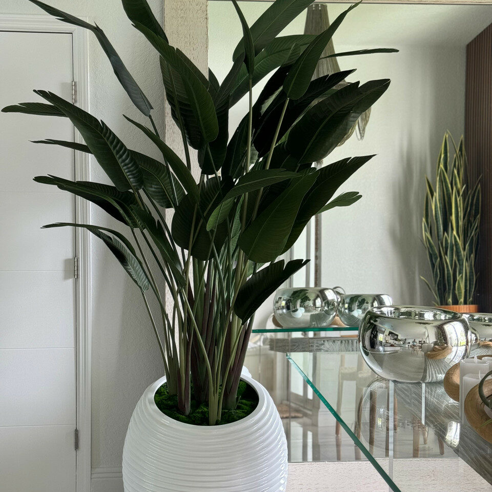Paradiesvogel in einer weißen Spiralvase