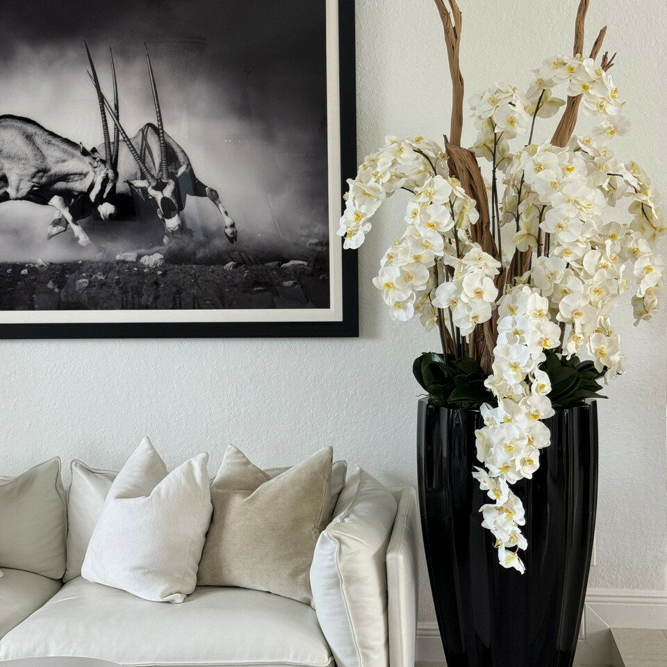 Glänzend schwarze San José Vase mit weißer Orchideenkaskade