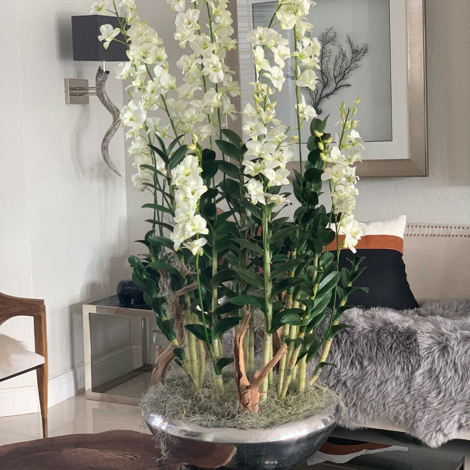 Allee-Pflanzgefäß mit Dendrobium-Orchideen