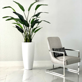 7ft Paradiesvogelblume mit Dax L Topf