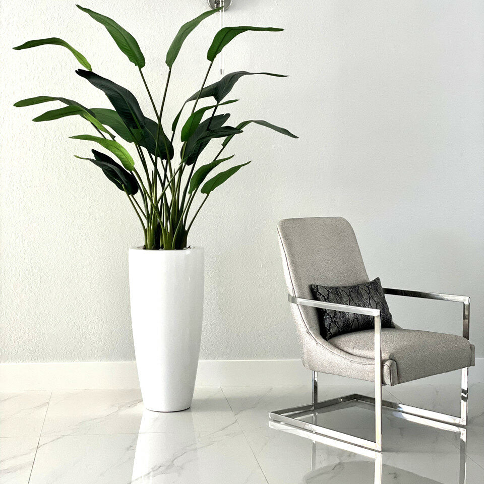 7ft Paradiesvogelblume mit Dax L Topf