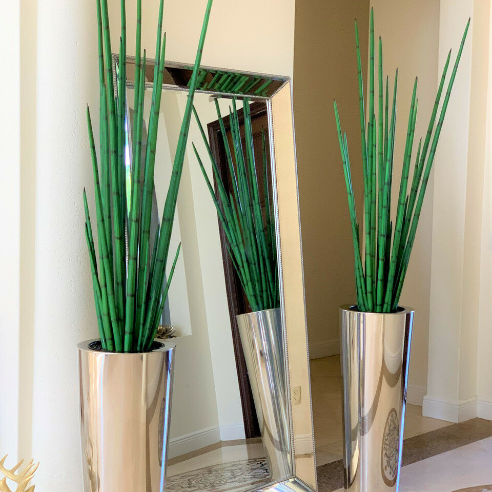 Große konische Vase aus poliertem Edelstahl mit einer großen Schlangengraspflanze