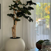 Bonsai-Baum, der auf einer 30-Zoll-Kugel aus Satinbeige steht