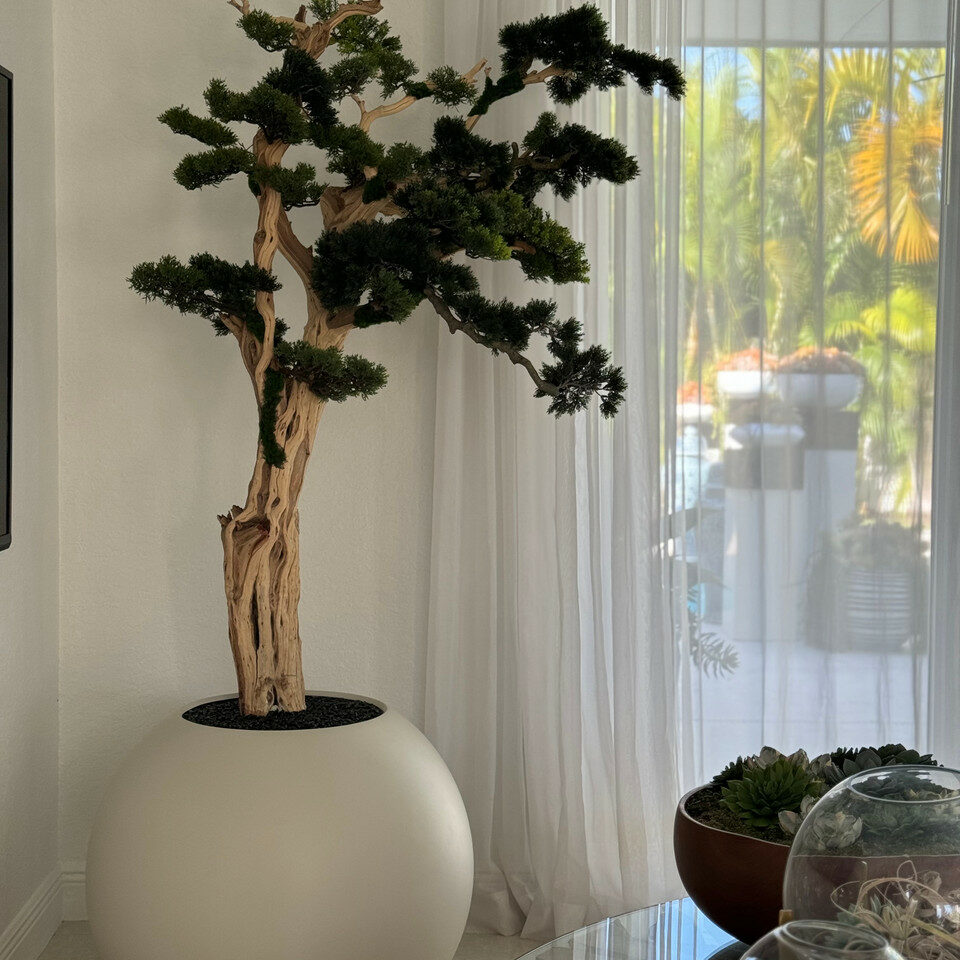 Bonsai-Baum, der auf einer 30-Zoll-Kugel aus Satinbeige steht
