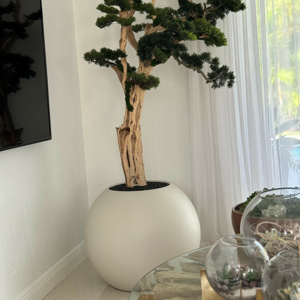 Bonsai-Baum, der auf einer 30-Zoll-Kugel aus Satinbeige steht