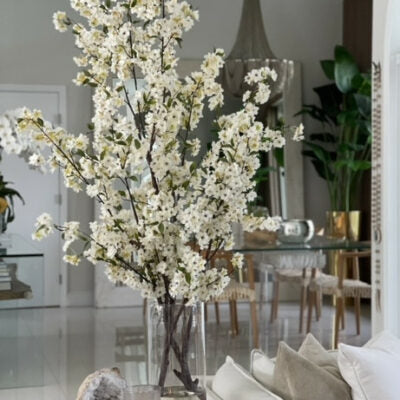 Kirschblüten in einem 16-Zoll-Glaszylinder