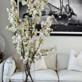 Kirschblüten in einem 16-Zoll-Glaszylinder