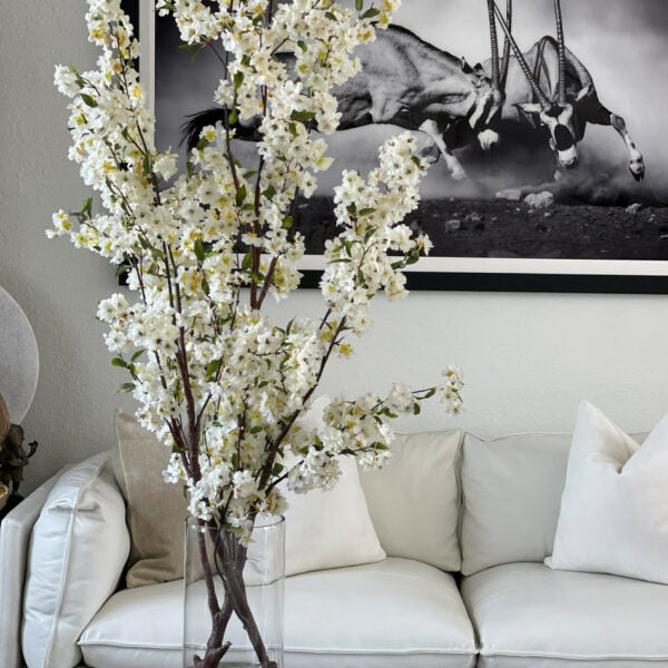Kirschblüten in einem 16-Zoll-Glaszylinder