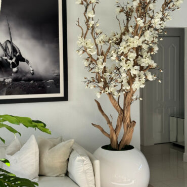 Weiße Magnolie in 30″ glänzend weißem Kugeltopf
