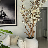 Weiße Magnolie in 76 cm glänzend weißem Kugeltopf