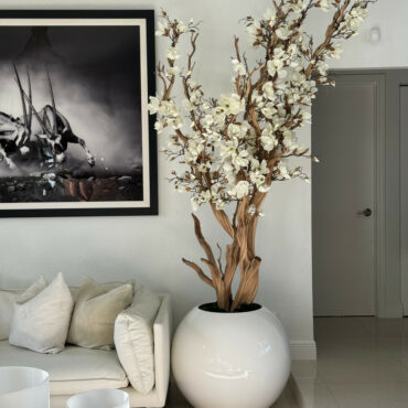 Weiße Magnolie in 30″ glänzend weißem Kugeltopf