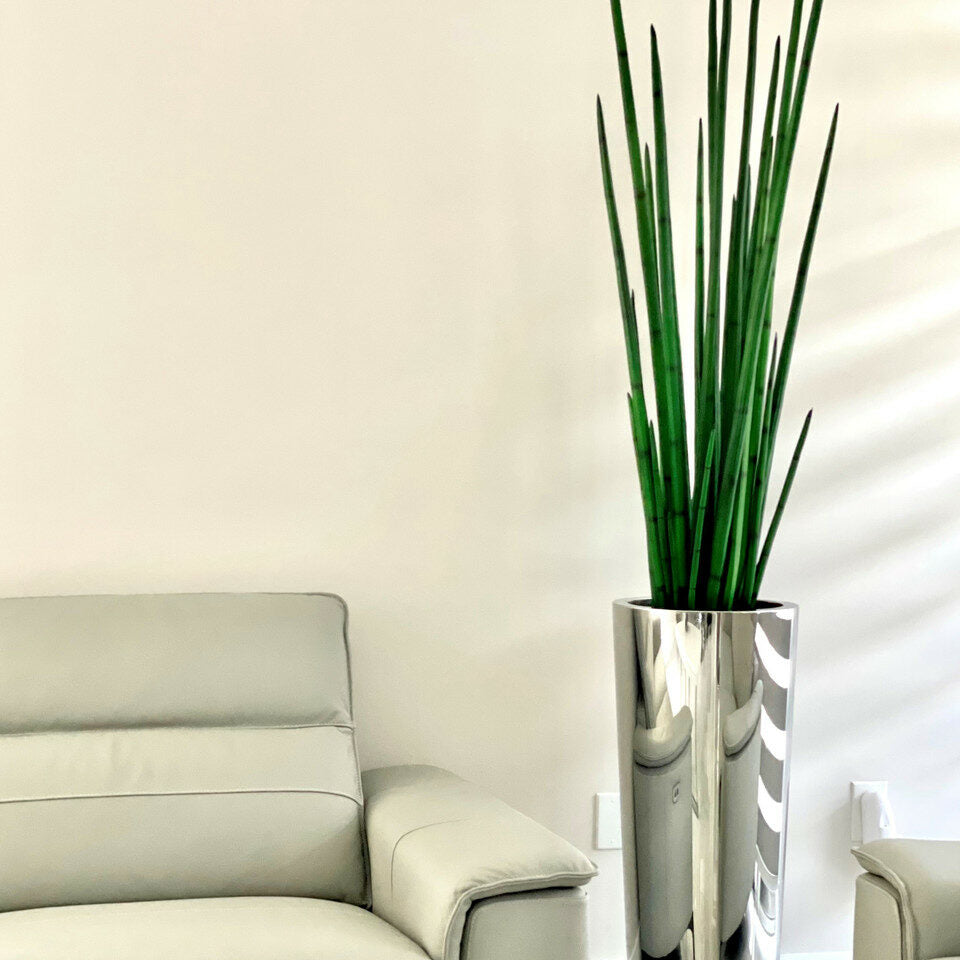 Große konische Vase aus poliertem Edelstahl mit einer großen Schlangengraspflanze
