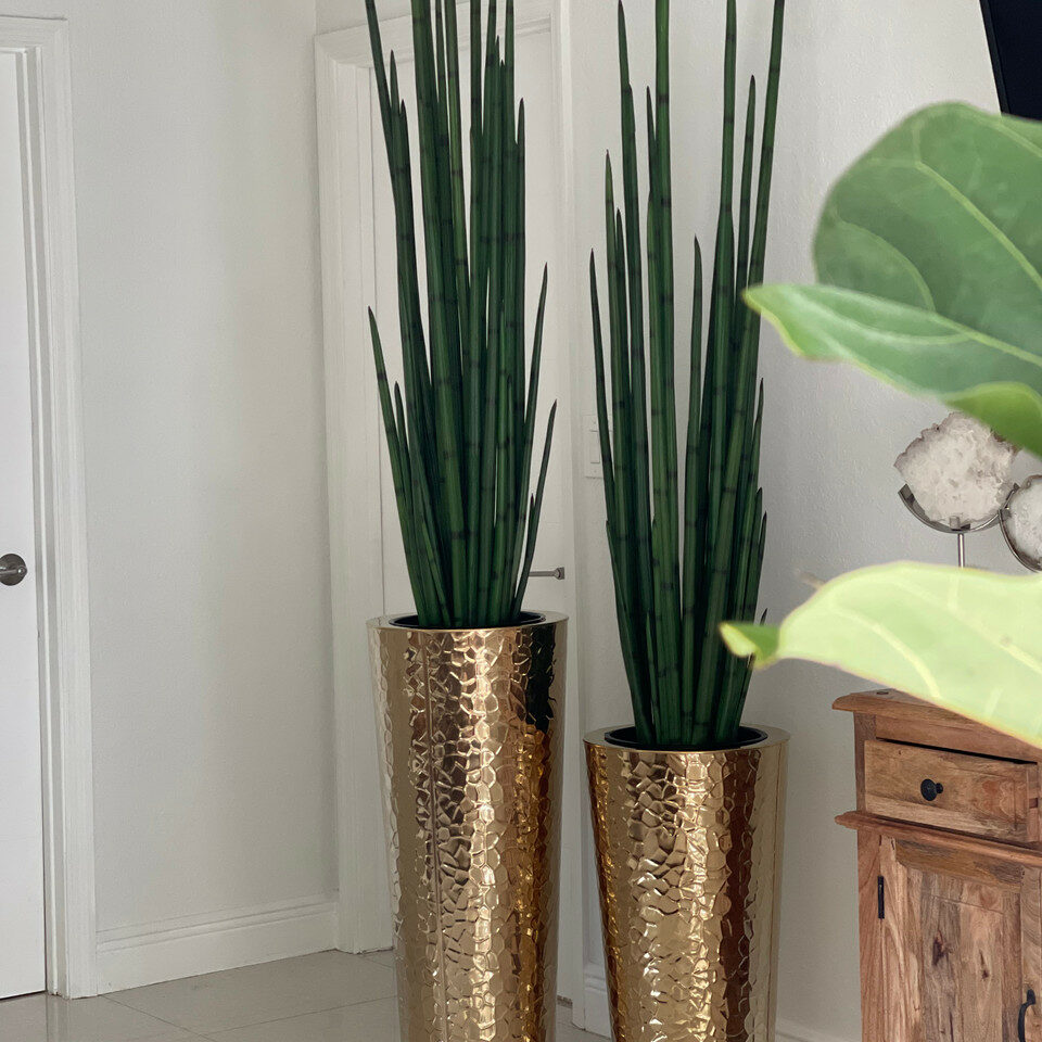 Konische Vase aus goldenem Edelstahl mit großer Schlangengraspflanze