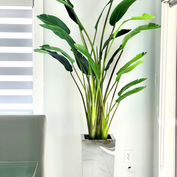 Paradiesvogel-Vase aus Edelstahl, mittelgroß, Würfelform (7′)
